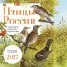 Обложка книги «Птицы России: когда ждать, где искать, как отличать. Календарь настенный на 2027 год 300х300 мм», ISBN 9785042402272