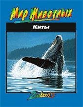 Киты