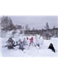 Снежки