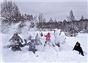 Снежки