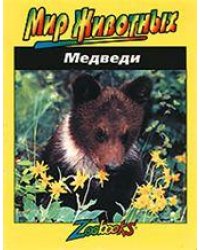 Медведи