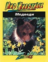 Медведи