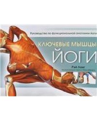 Ключевые мышцы йоги