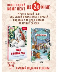 Комплект из 2-х книг: Увлекательный Новый год с Дедом Морозом