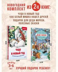 Комплект из 2-х книг: Увлекательный Новый год с Дедом Морозом