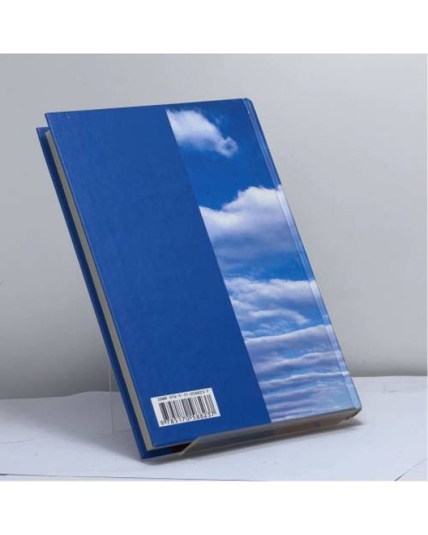 Дополнительное изображение книги «Небо падших»