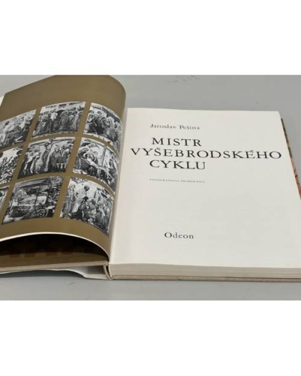 Mistr Vyšebrodského cyklu