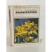 Обложка книги «Рододендроны» — Р.Я. Кондратович