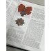 Дополнительное изображение книги «Пушкины: генеалогическая энциклопедия»