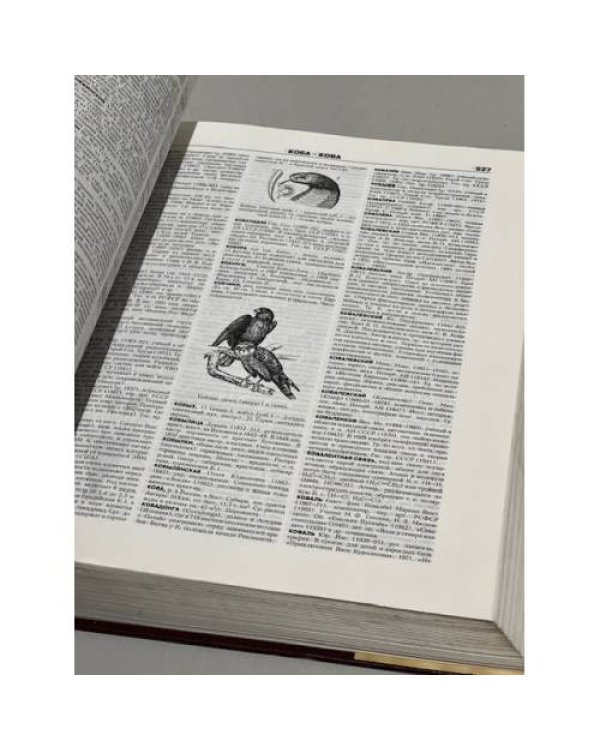 Дополнительное изображение книги «Новый энциклопедический словарь»