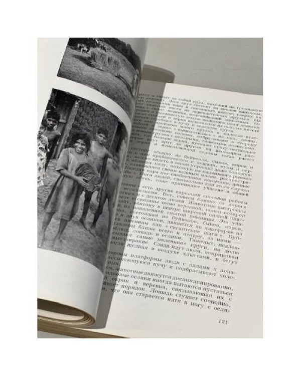Дополнительное изображение книги «Огни Азии»