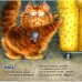 Дополнительное изображение книги «Как я котиков люблю!»