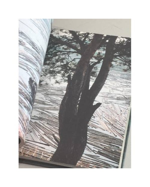 Дополнительное изображение книги «Пинежье. Путешествие по реке Пинеге. Фотоальбом»