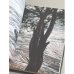 Дополнительное изображение книги «Пинежье. Путешествие по реке Пинеге. Фотоальбом»