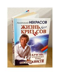 Жизнь без кризисов