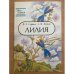 Лилия