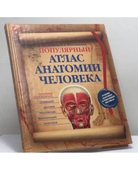 Популярный атлас анатомии человека