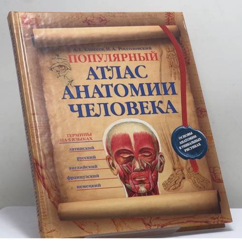 Обложка книги «Популярный атлас анатомии человека» — А. Г. Елисеев, Н. А. Россоловский, ISBN 9785699308385