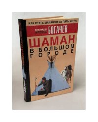 Шаман в большом городе, или Книга о приготовлении быстрорастворимой магии