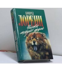 Человек находит друга. Кольцо царя Соломона