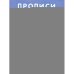 Дополнительное изображение книги «Прописи. Русский язык. Математика. Пишем буквы и цифры»