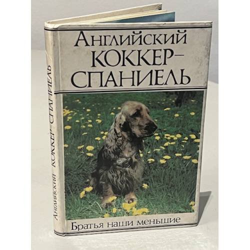 Английский коккер-спаниель