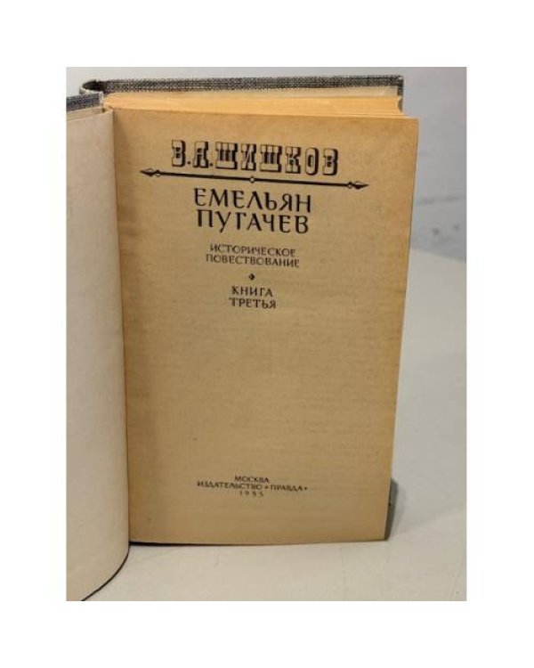 Дополнительное изображение книги «Емельян Пугачев. Историческое повествование в трех книгах. Книга 3 »