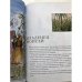 Дополнительное изображение книги «Библия в кратких рассказах для детей (син.)»