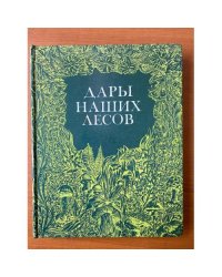 Дары наших лесов