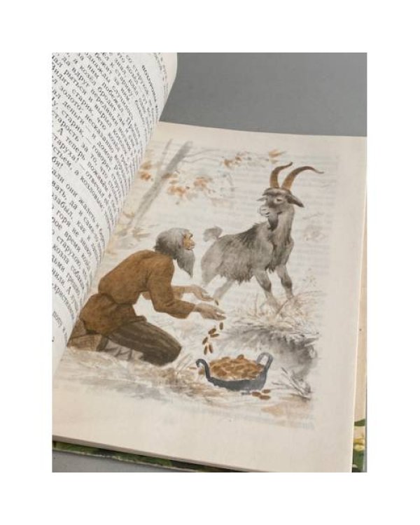 Дополнительное изображение книги «Чивы, чивы, чивычок…»
