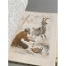 Дополнительное изображение книги «Чивы, чивы, чивычок…»