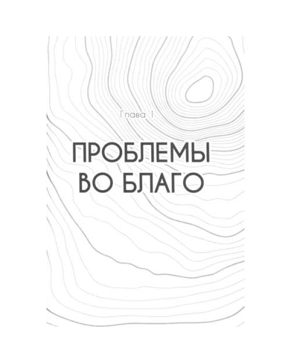 Дополнительное изображение книги «Территория проблем»