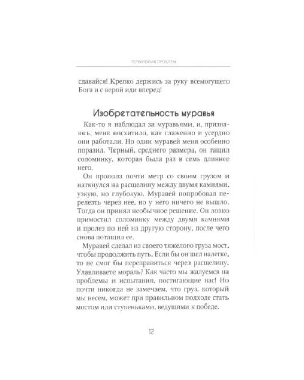 Дополнительное изображение книги «Территория проблем»