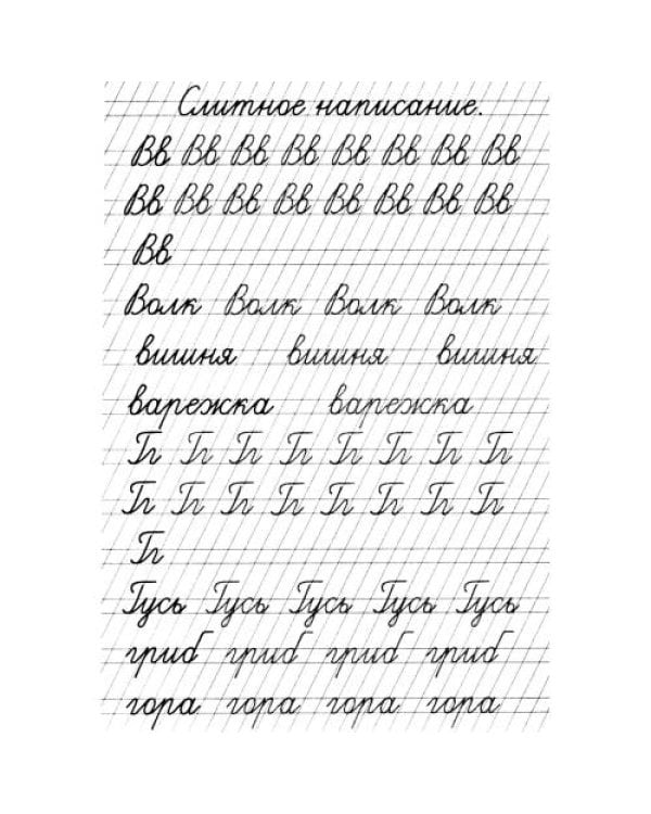 Дополнительное изображение книги «Прописи. Слитное написание букв»