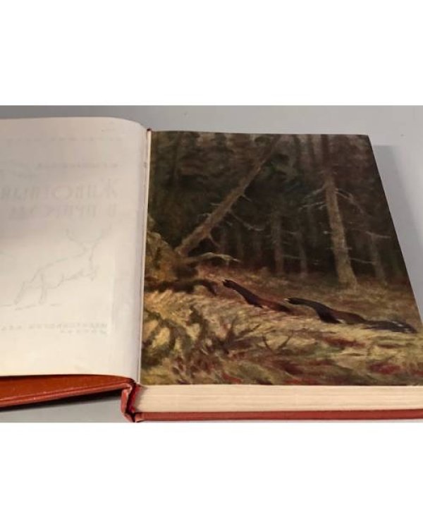 Дополнительное изображение книги «Животный мир и природа СССР»