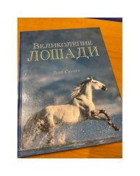 Великолепие лошади