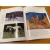 Дополнительное изображение книги «Великолепие лошади»