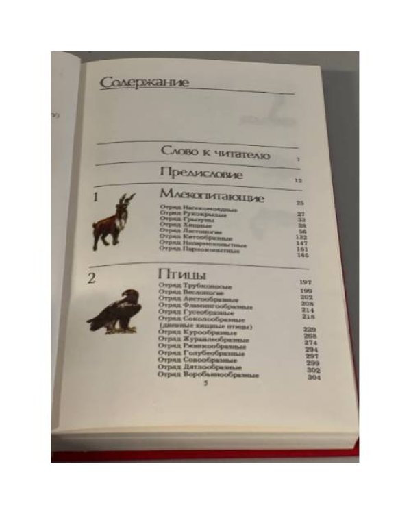 Редкие и исчезающие животные 