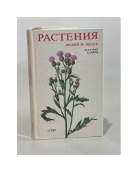 Растения полей и лесов