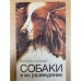 Собаки и их разведение