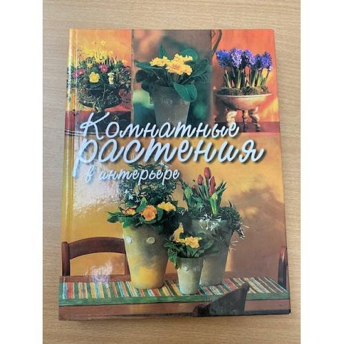 Комнатные растения в интерьере