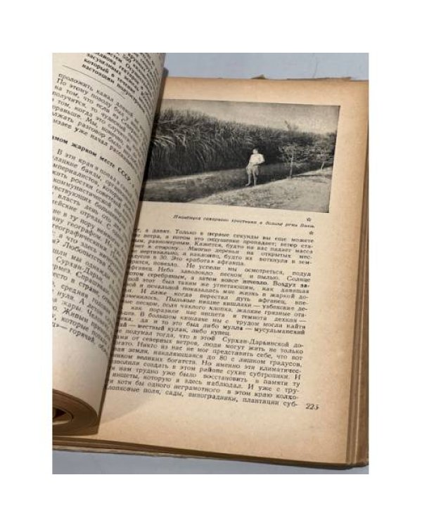 Дополнительное изображение книги «Страна сокровищ»