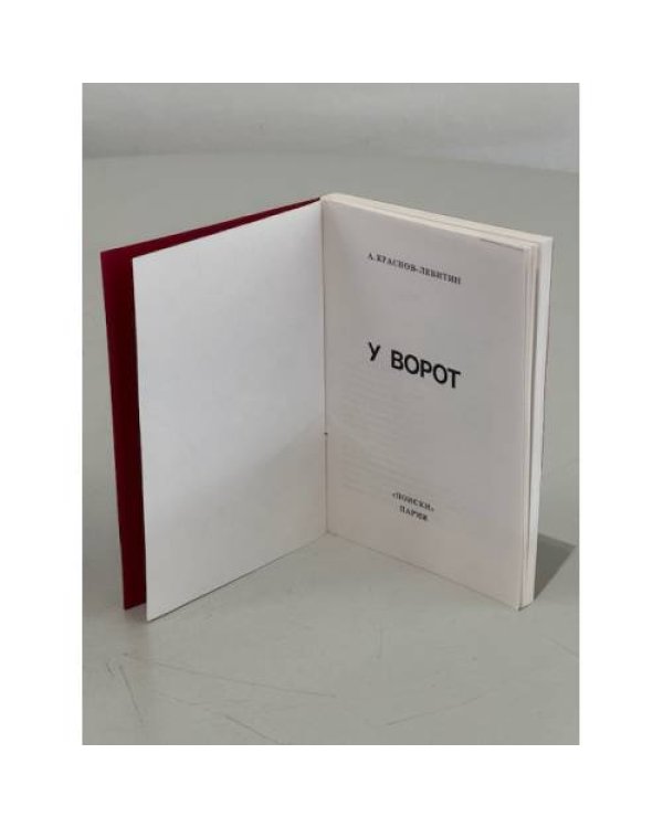 Дополнительное изображение книги «У ворот »