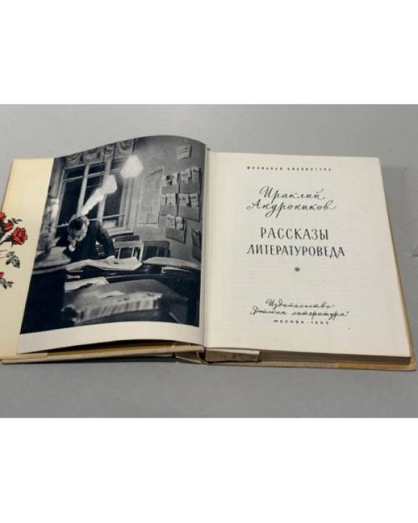 . Рассказы литературоведа.