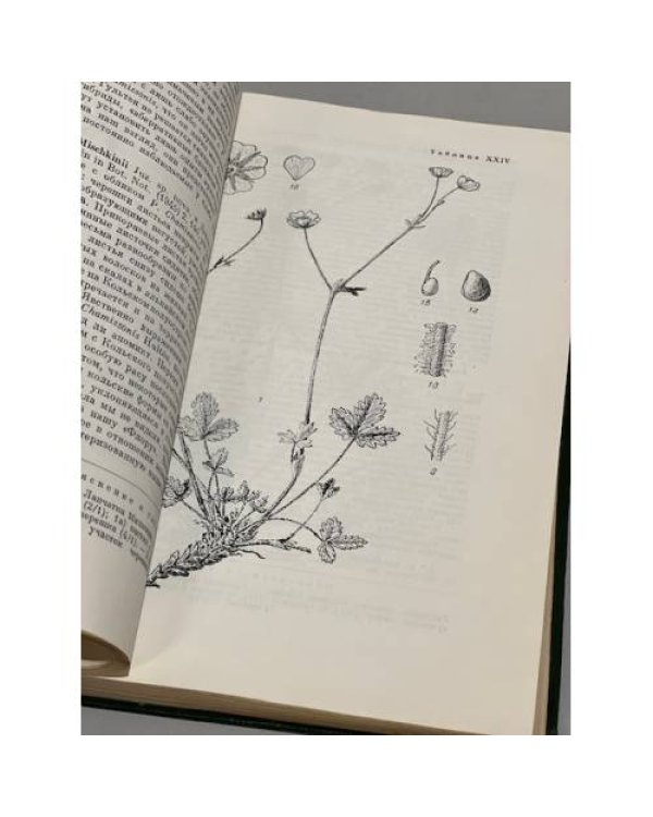 Дополнительное изображение книги «Флора Мурманской области. Том 4»