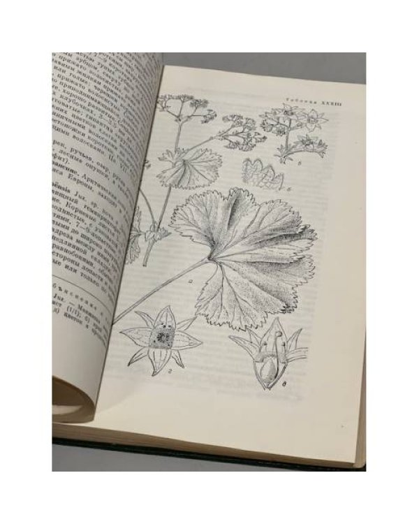 Дополнительное изображение книги «Флора Мурманской области. Том 4»