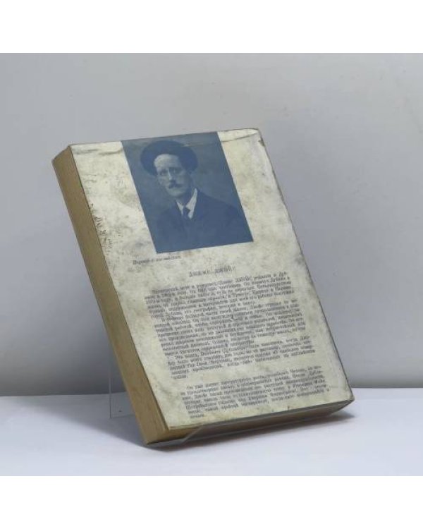Дополнительное изображение книги «Дублинцы»