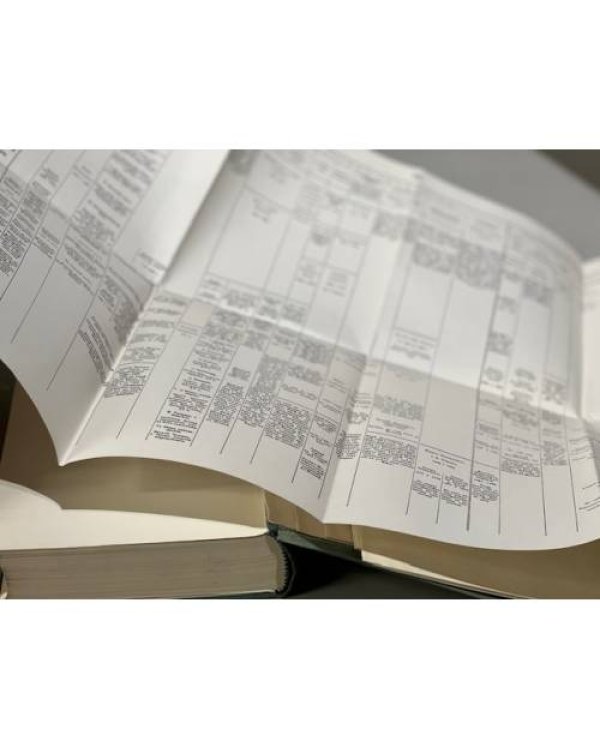 Великие и удельные князья Северной Руси в татарский период с 1238 по 1505 г. В 2-х томах