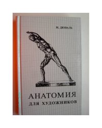 Анатомия для художников (L)
