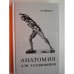 Анатомия для художников (L)